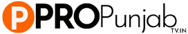 pro-punjab-_logo