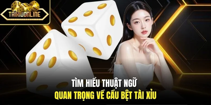 Tìm hiểu thuật ngữ quan trọng về cầu bệt tài xỉu